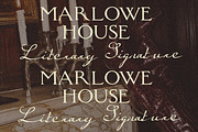 Calligraphy Ink Script Vintage Serif, a Handwritten Font by Laras Wonderland (Thumbnail 2 of 14)