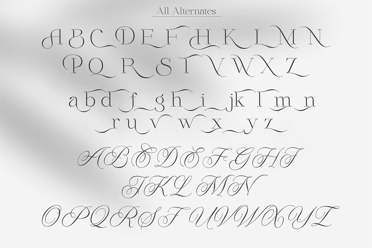 Qidango, a Serif Font by Sealoung (Photo 17 of 17)