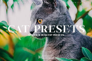 10 CAT Lightroom Presets