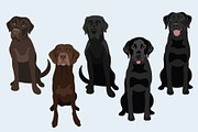 Labrador Retriever Vector Clip Art, an Illustration by Putnam Road Art (Thumbnail 2 of 3)