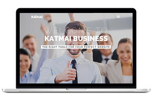 Professional Business WP Theme