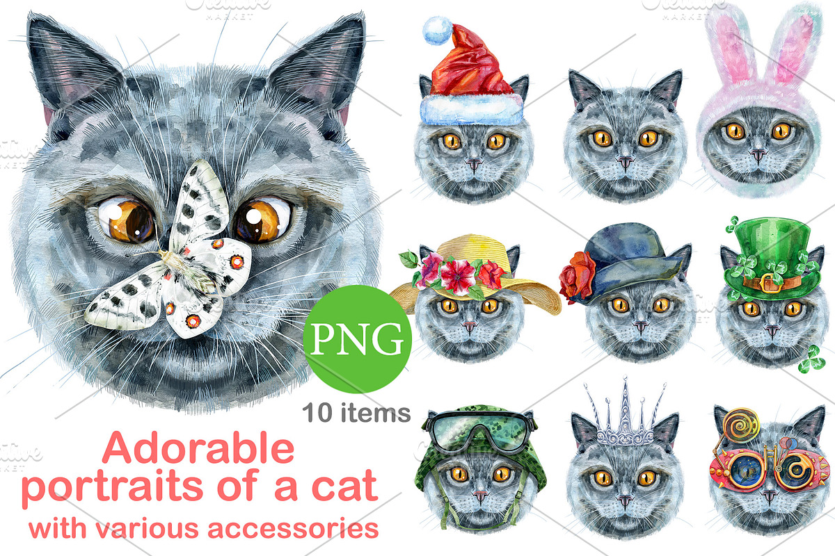 Portraits of British Shorthair cat, an Animal Illustration by Watercolor fantasy (Photo 1 of 6)