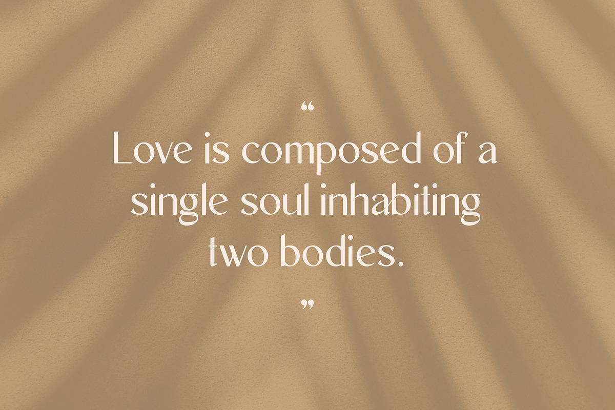 New Machiato Classy Sans Serif, a Sans Serif Font by Storytype Studio (Photo 9 of 15)