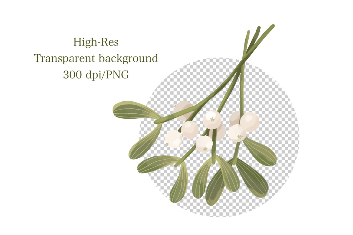 Christmas Greenery & Berries Clipart, a Seasonal Illustration by ArtGiftsStudio (Photo 6 of 6)
