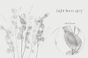 Lunaria – Botanical Wall Mural Set, a Wallpaper Graphic by Timofi Art (Thumbnail 6 of 9)