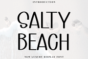 Salty Beach, a Script Font by FreshTypeINK (Thumbnail 1 of 8)