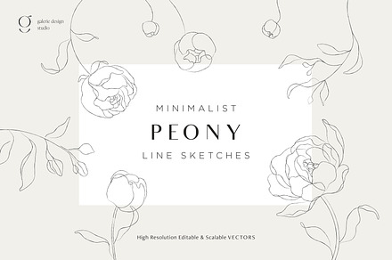 Minimalist Peony Line Sketches