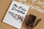 Roughton Bogatha Modern Brush Font, a Script Font by Letterena Studios Script (Thumbnail 4 of 15)