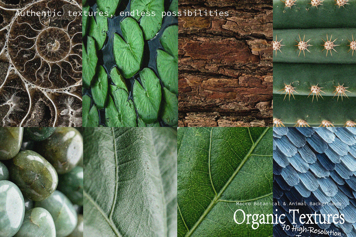 Organic Nature Backgrounds - 70 JPG, a Background Graphic by DreamoraArt