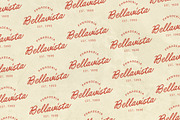 Saltwater Society, a Handwritten Font by supfonts (Thumbnail 3 of 12)