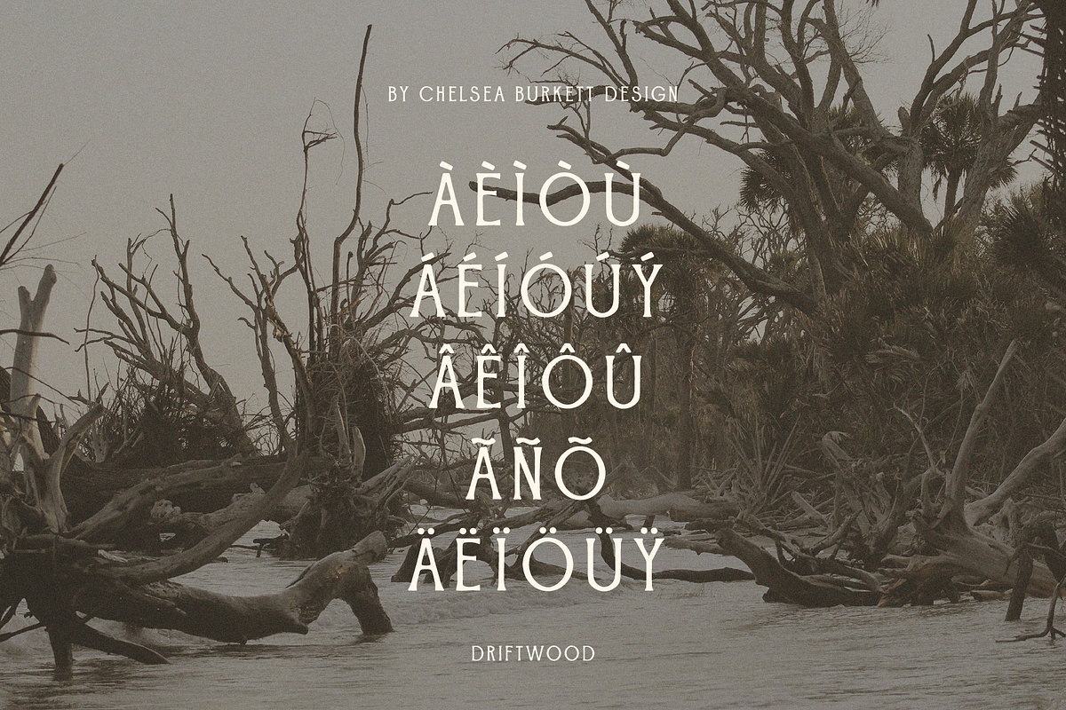 Driftwood, a Serif Font by Chelsea Burkett (Photo 6 of 6)