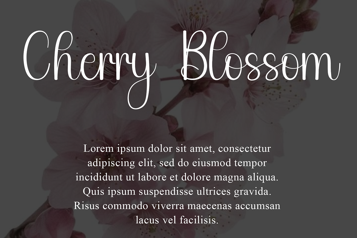 Aesthetic, a Handwritten Font by InermediaSTUDIO (Photo 4 of 8)