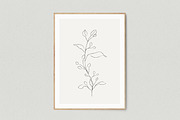 Minimalist Leaf Line Sketches, an Illustration by Galerie Design Studio (Thumbnail 6 of 6)