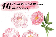 Watercolor Peonies, a Background Graphic by Instinct Design Co (Thumbnail 2 of 3)