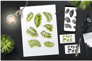 Palm Leaves Vector Set