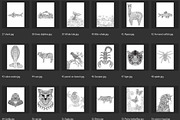 150 animals for adult coloring book, an Animal Illustration by Somjai King (Thumbnail 4 of 10)