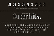 Superhits - Didot Font Family, a Serif Font by Sarid Ezra (Thumbnail 9 of 9)