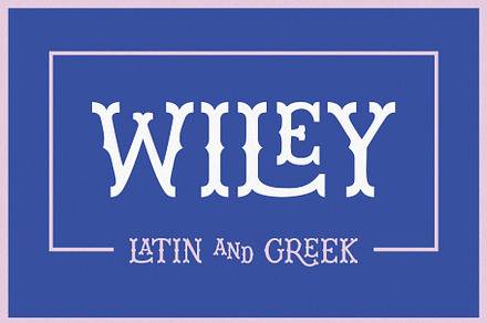 Wiley Decorative Latin & Greek Font, a Slab Serif Font by Molly Suber Thorpe