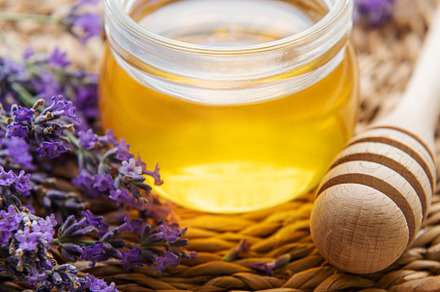Jar with honey and fresh lavender flowers, a Food & Drink Photo by Olena Rudo