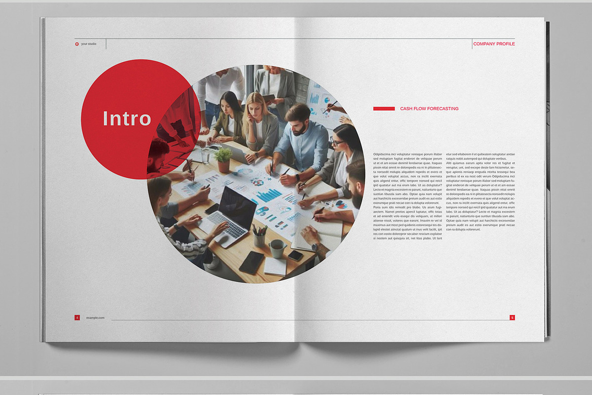 Red Studio Brochure Template, a Brochure Template by Boris Cupac (Photo 4 of 7)