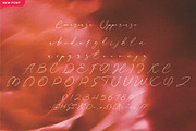 Dajestica Betamoora, a Script Font by JNJ Studio (Thumbnail 8 of 9)