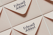 Shandora a Modern Serif Font, a Serif Font by Vilogsign (Thumbnail 11 of 15)