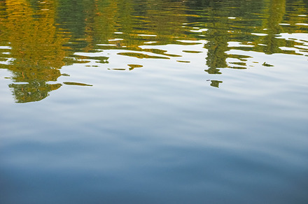 Water background featuring water, background, and texture, a Nature Photo by WorldOfPhotos