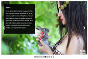 Ultimate Responsive Image Slider Pro, a Plug-in Add-On by Weblizar Themes & Plugin (Thumbnail 4 of 7)