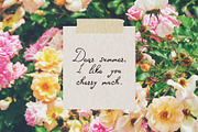 Cherry Wish Romantic Font, a Handwritten Font by BilberryCreates (Thumbnail 2 of 11)