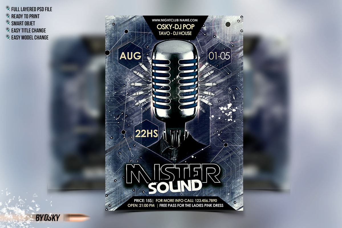 Mister Sound Flyer, a Flyer Template by Osky