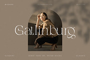 Gatlinburg - Modern Serif Font, a Serif Font by Cruzine (Thumbnail 1 of 8)