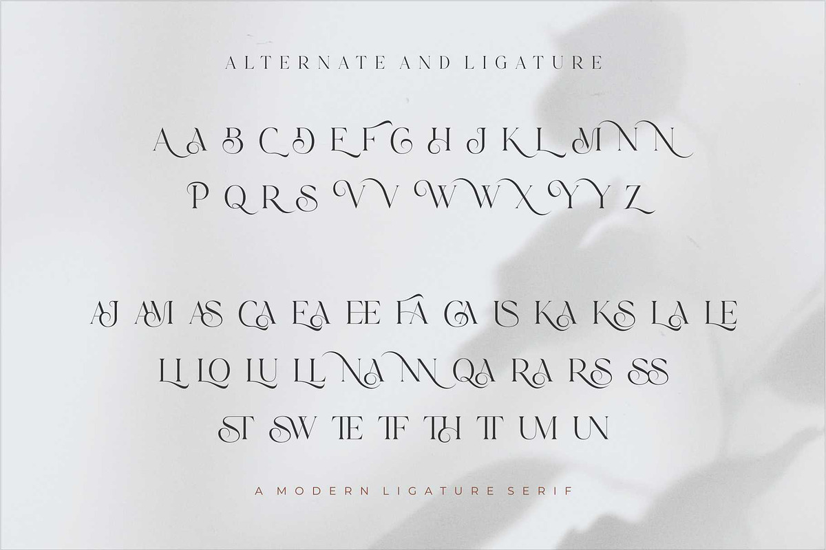 Lionary Modern Serif Font, a Serif Font by Dylla_studio (Photo 11 of 11)