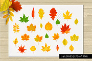Autumn leaves vector collection, a Seasonal Illustration by VaraNa Art (Thumbnail 2 of 15)