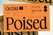 CS Randle – Classic Font, a Serif Font by Craft Supply Co. (Thumbnail 3 of 8)