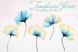 Watercolor Translucent Flower Vector