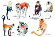 Watercolor Happy Monkeys, an Animal Illustration by Anastasia (Thumbnail 12 of 13)