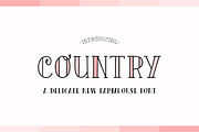 The Farmhouse Font Bundle, a Font by Salt & Pepper Designs (Thumbnail 2 of 11)