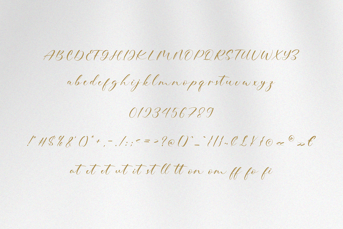 Blink Signature Calligraphy Font, a Script Font by Pen Culture (Photo 5 of 6)