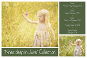 Summer Collection - PS Bundle, an Action Add-On by LovePhotoMoment (Thumbnail 15 of 23)