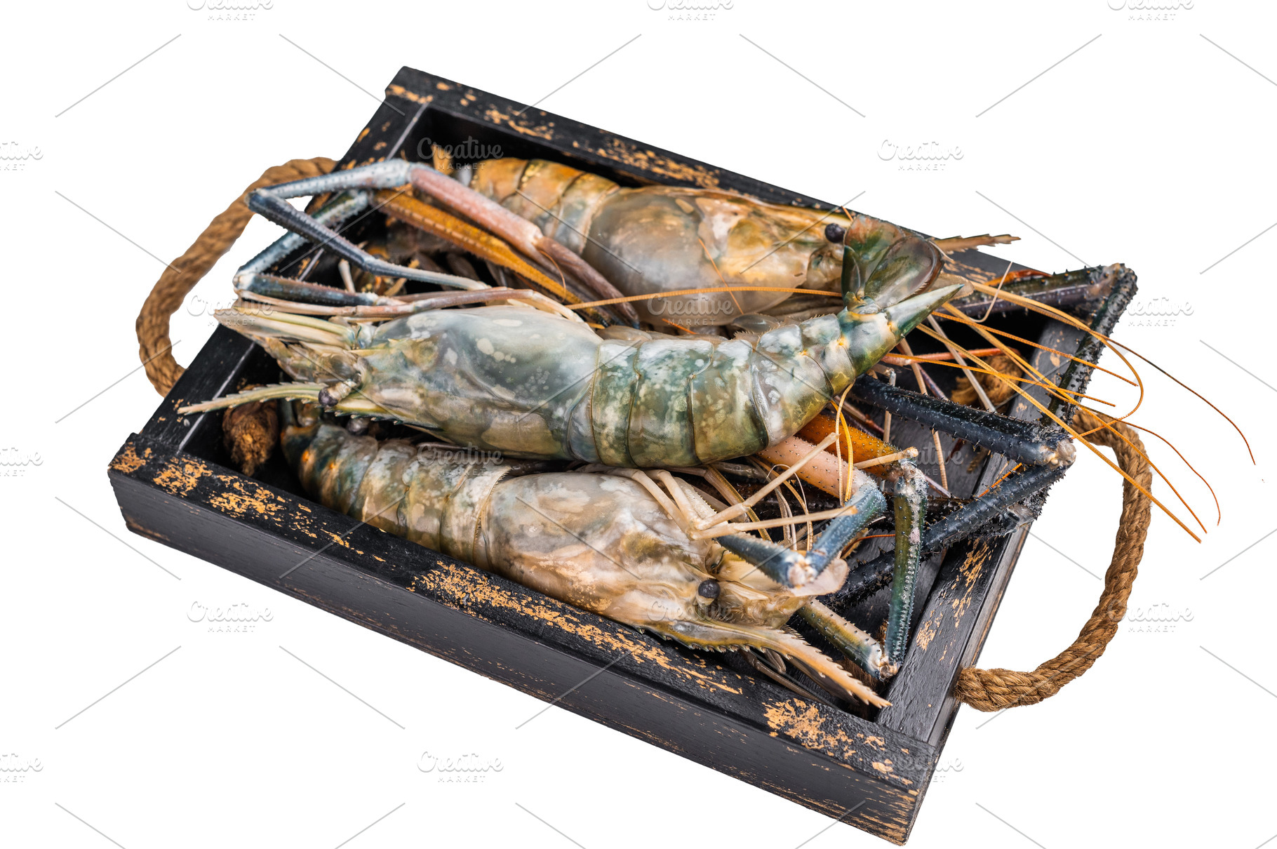 Closeup of raw rosenbergii shrimp prawn showcasing their vibrant, a Food & Drink Photo by composter-box@mail.ru