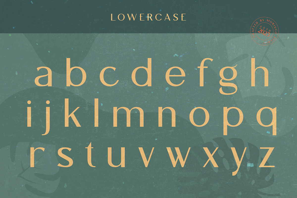 Sheilla Monica - Elegant Display, a Sans Serif Font by Morisco (Photo 4 of 10)
