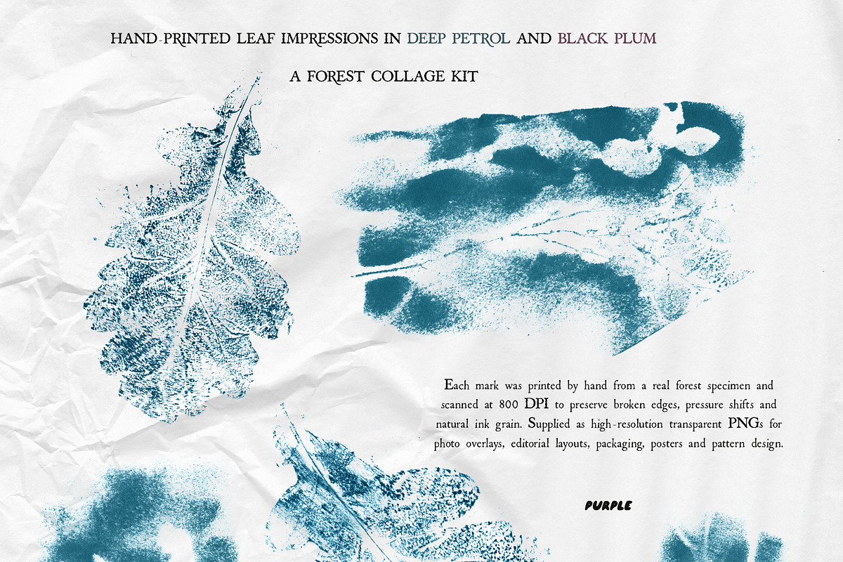 Leaf Imprints, Forest Scans & Paper, an Object Graphic by Purple (Photo 10 of 20)