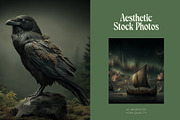 30 Nordic Fantasy Backgrounds, a Decorative Illustration by Incomelion (Thumbnail 11 of 13)