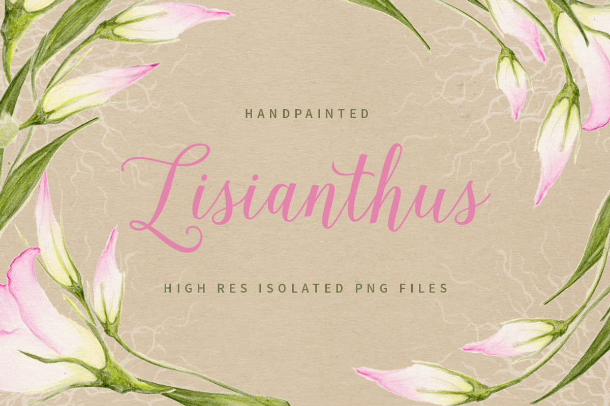 Lisianthus Flowers, an Illustration by Ingrid Marais Design (Photo 1 of 4)