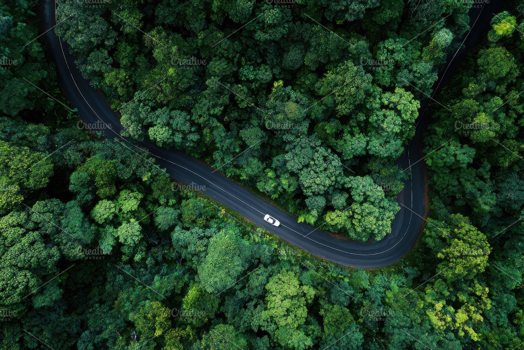 White car driving winding road lush, a Photo by Pixeness Studio