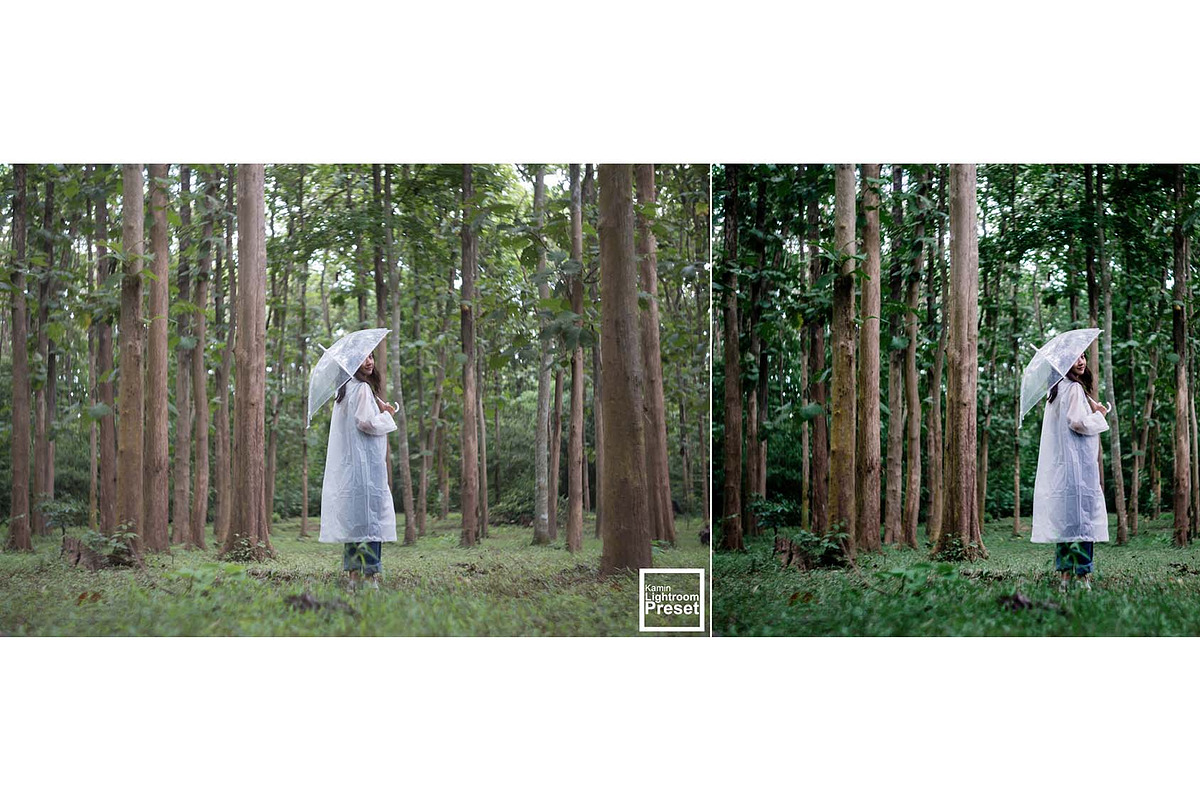 Kamin Rainy Day, an Action Add-On by Kamin Lightroom Preset (Photo 17 of 17)
