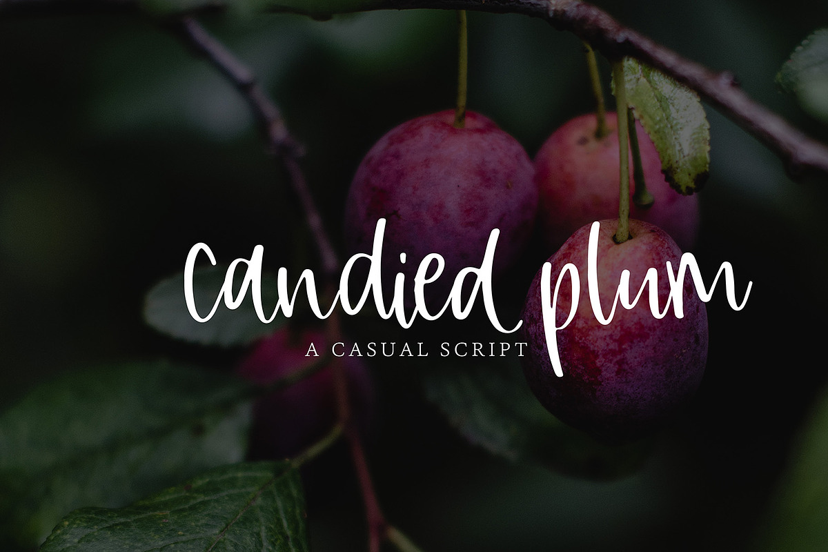 Candied Plum preview 2