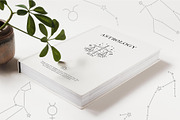 Zodiac Signs and Constellation, an Object Illustration by Alisovna (Thumbnail 11 of 12)