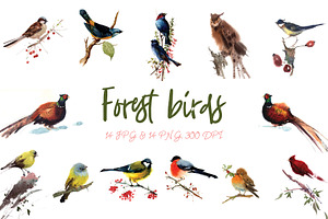 Watercolor Forest Birds