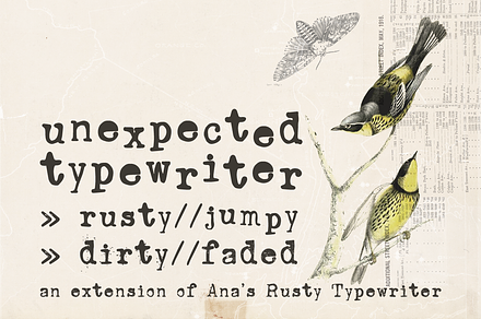 Unexpected Typewriter font, a Serif Font by Ana's Fonts